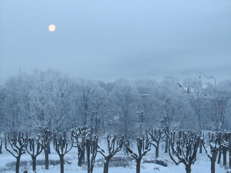 ерняховск.Зимнее утро 4