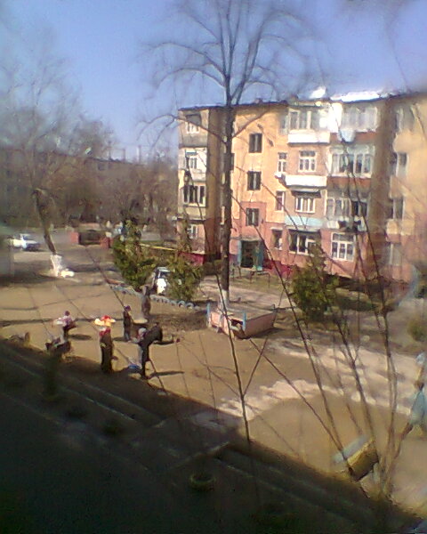 "Фото из окна". Весна, Ташкент.2014 - фото 1
