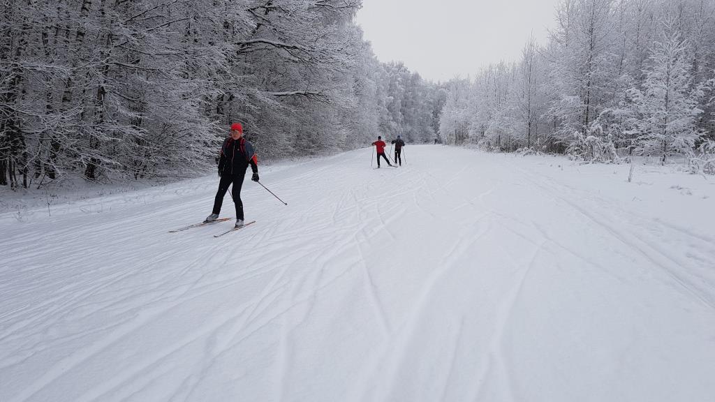 Две полоски на снегу оставляю на бегу: Мосприрода подготовила список лыжных трасс - фото 6