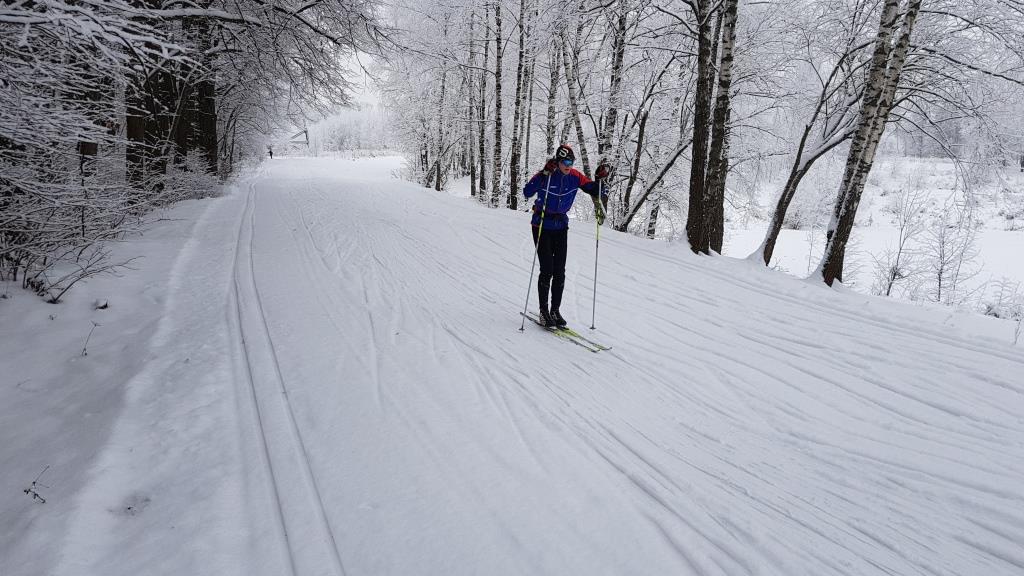 Две полоски на снегу оставляю на бегу: Мосприрода подготовила список лыжных трасс - фото 7
