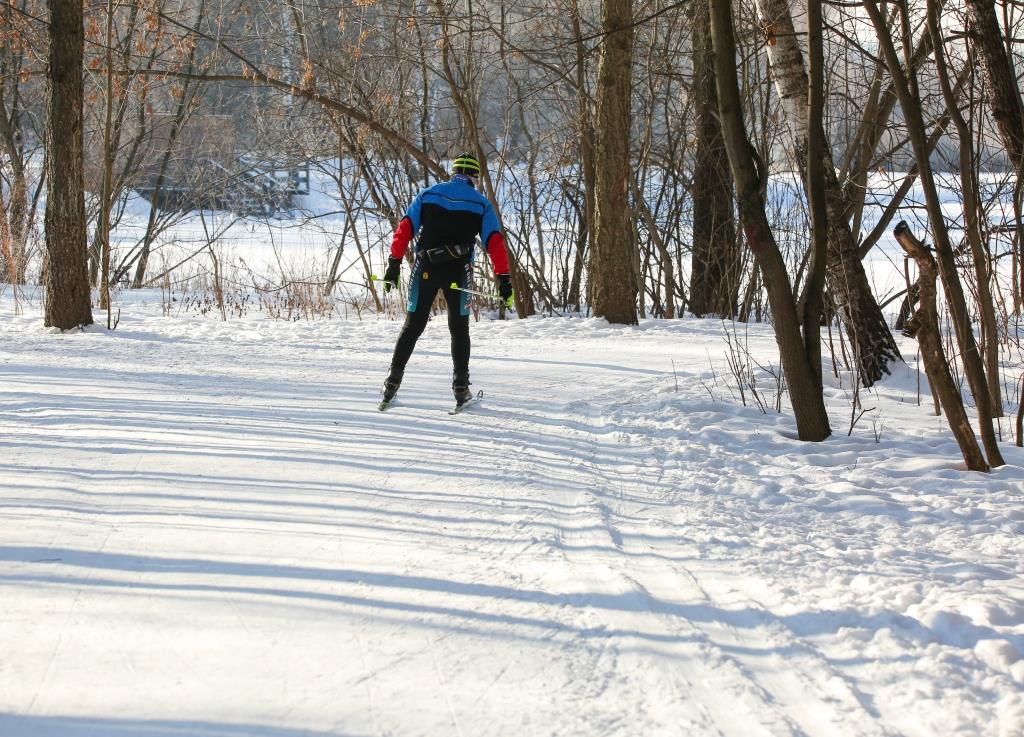 Две полоски на снегу оставляю на бегу: Мосприрода подготовила список лыжных трасс - фото 3