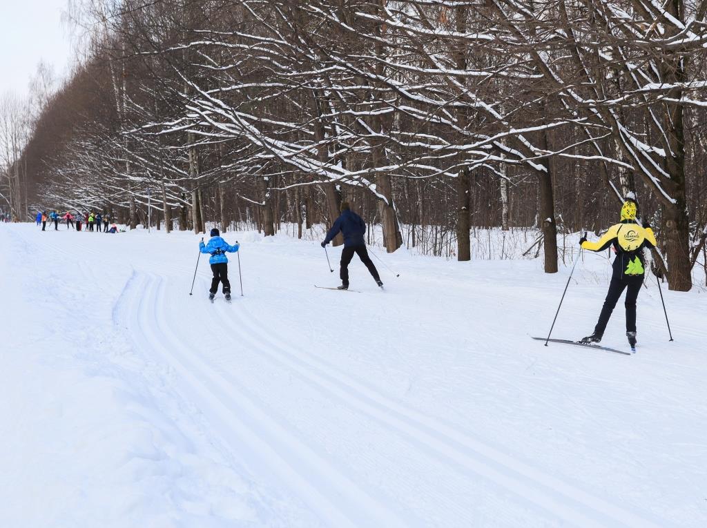 Две полоски на снегу оставляю на бегу: Мосприрода подготовила список лыжных трасс - фото 5