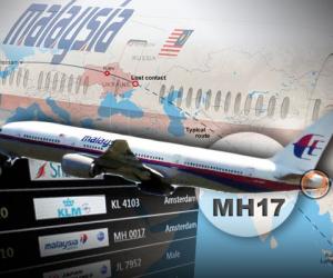О фабрикации улик Киевом в деле MH17 рассказали в Голландии - фото 1
