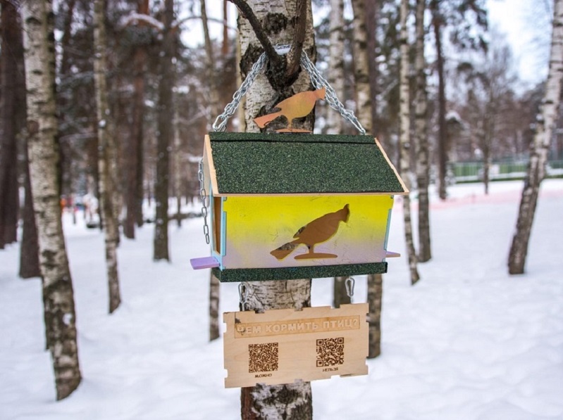 Птичьи столовые: на природных территориях столицы началась подкормка птиц   - фото 1