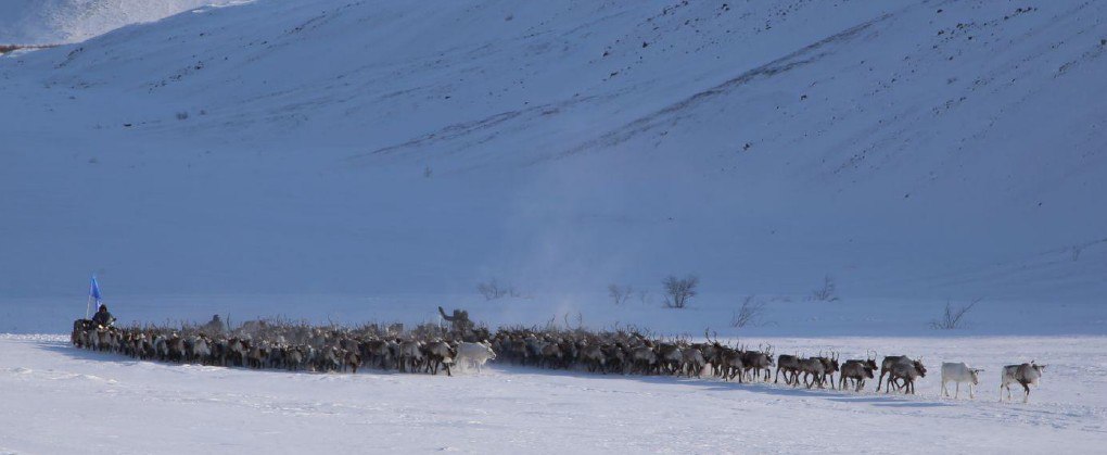 Фильм на миллион: Арктическая стартап-экспедиция определила лучший проект документального кино - фото 2