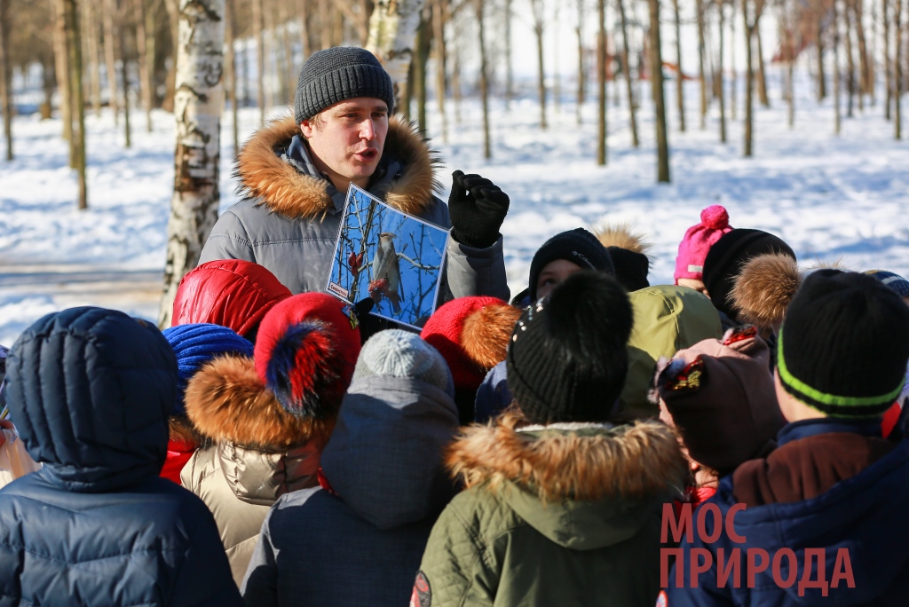 О птицах и не только: в Москве стартует эколого-просветительская программа «Зимние орнитологические прогулки» - фото 9