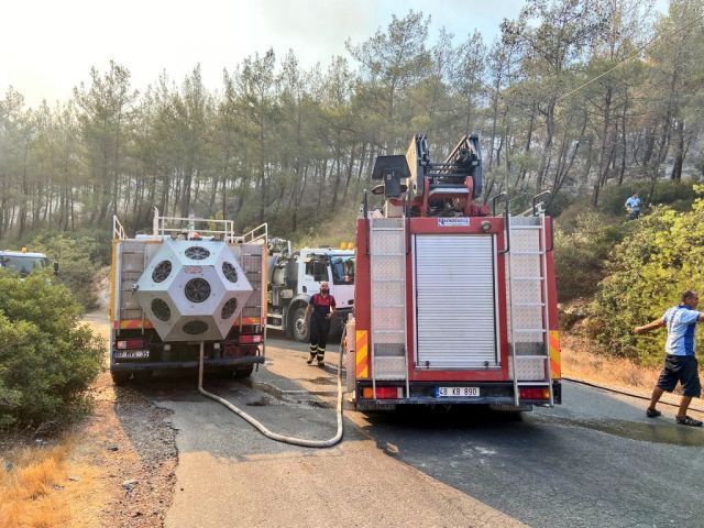 Лесные пожары в Турции потребовали международного вмешательства - фото 4
