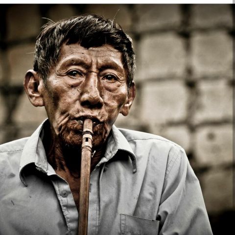 Леонардо Ди Каприо посвятил свой пост в инстаграмм коренным общинам венесуэльской Амазонки - фото 4