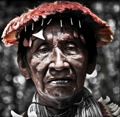 Леонардо Ди Каприо посвятил свой пост в инстаграмм коренным общинам венесуэльской Амазонки - фото 6