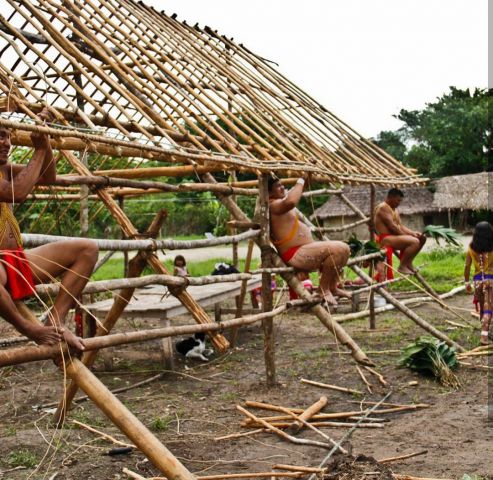 Леонардо Ди Каприо посвятил свой пост в инстаграмм коренным общинам венесуэльской Амазонки - фото 7