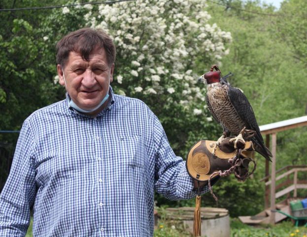 Накануне Дня защиты детей министр Дмитрий Кобылкин пообщался с соколом - фото 8