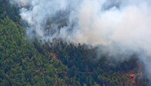 В России горят 25 тысяч гектаров лесов - фото 1