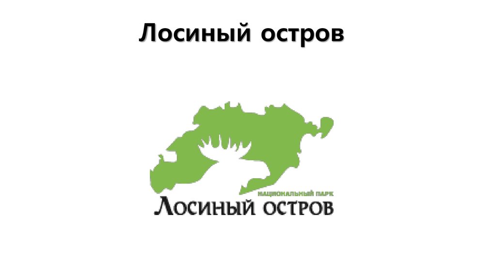 В Лосином острове в Мытищинском лесопарке найдено 11 мест оборонительных укреплений, оставшихся с Великой Отечественной войны - фото 1