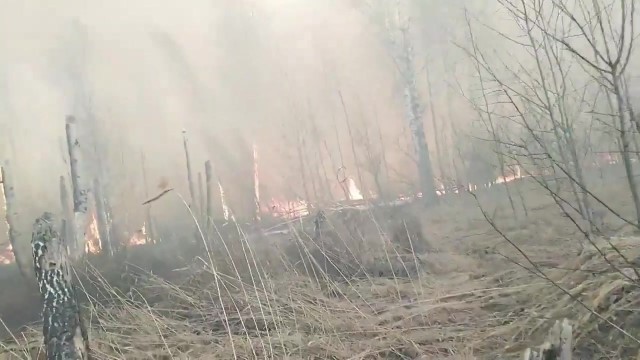 В Большехехцирском заповеднике потушили два пожара от сельхозпалов - фото 1