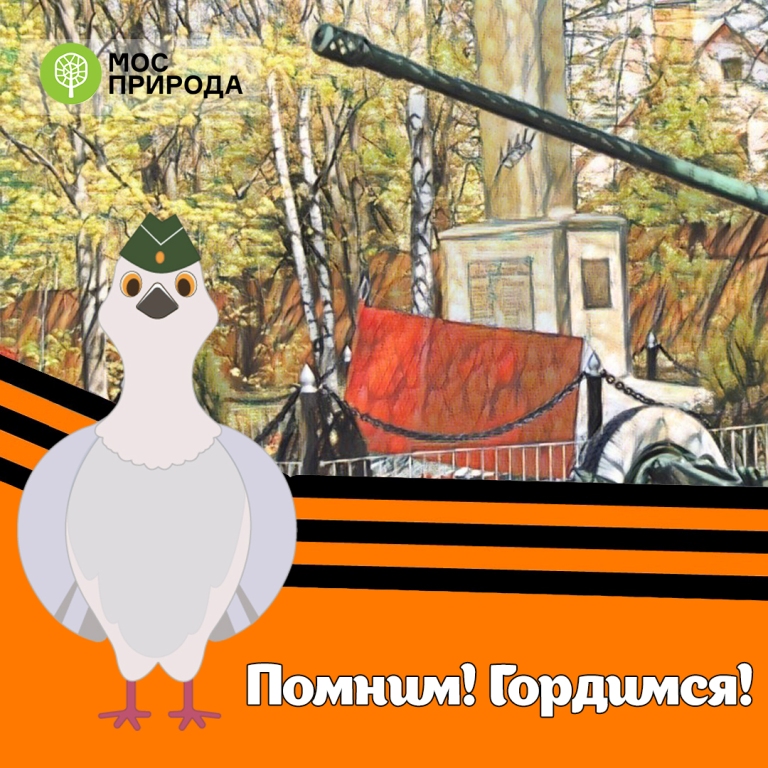 «Помним! Гордимся!»: на природных территориях Москвы расположено свыше 20 объектов, связанных с ВОВ - фото 1