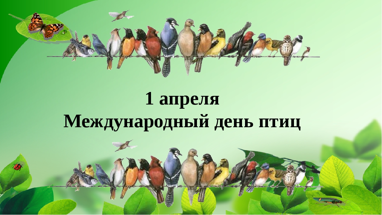 Виталий Рябцев: Сегодня 1 апреля — День Птиц! - фото 1