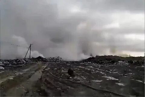 Чрезвычайное положение объявлено в Ленинградской области! Мусор довёл область до режима ЧС - фото 1