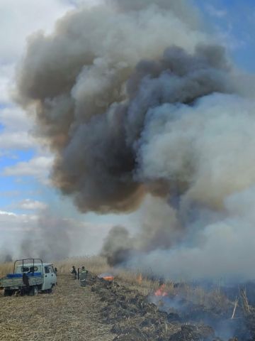 В Астраханской области горят заповедные территории. Губернаторский час на "ЭкоГраде" - фото 2