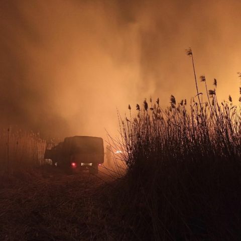 В Астраханской области горят заповедные территории. Губернаторский час на "ЭкоГраде" - фото 6