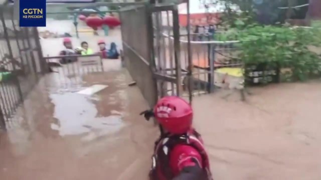 В столице Сычуани пожарные спасли собак от наводнения - фото 1