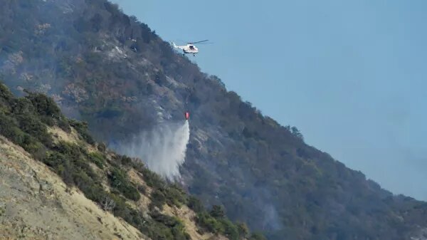 Лесной пожар в Анапе потушен полностью - фото 1