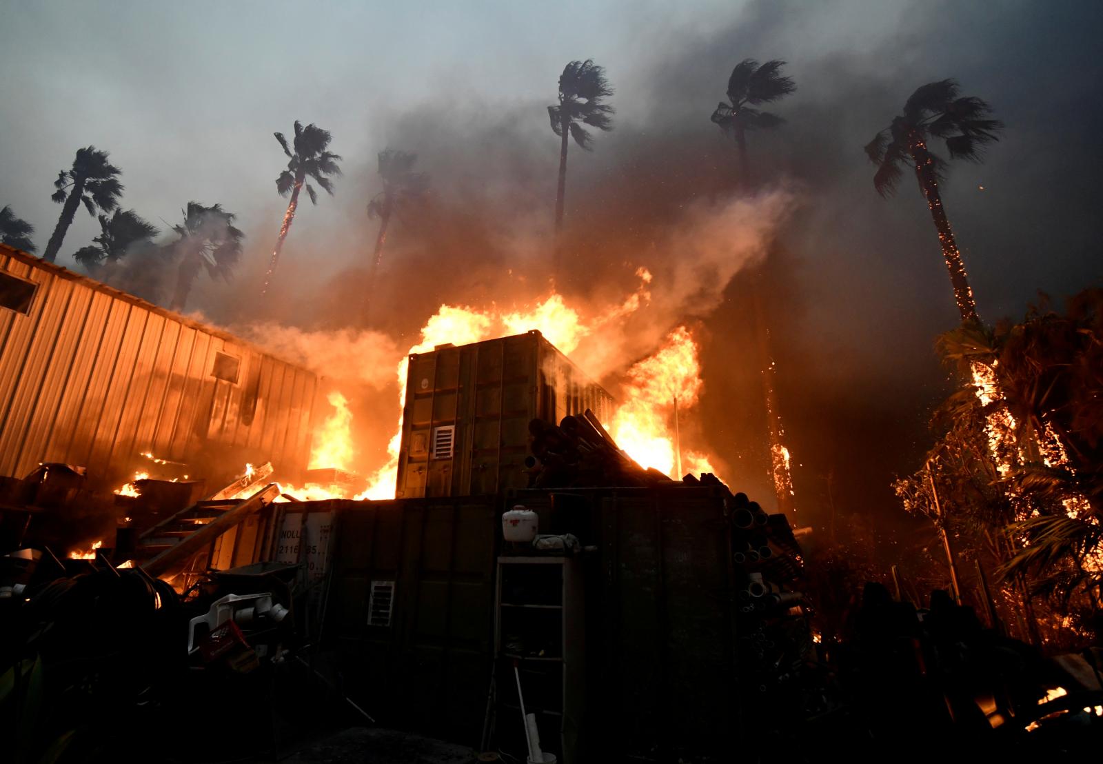 Калифорния задыхается в плену бушующих лесных пожаров и просит о помощи - фото 2