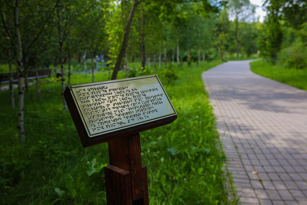 Повышаем иммунитет: «Садово-парковая территория» создана в природном заказнике «Долина реки Сетунь»    - фото 1