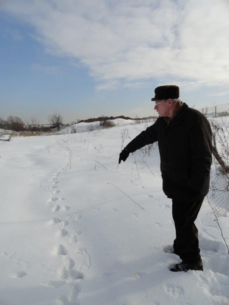 Читаем следы: зимой на природных территориях Москвы были замечены около 40 видов животных  - фото 1