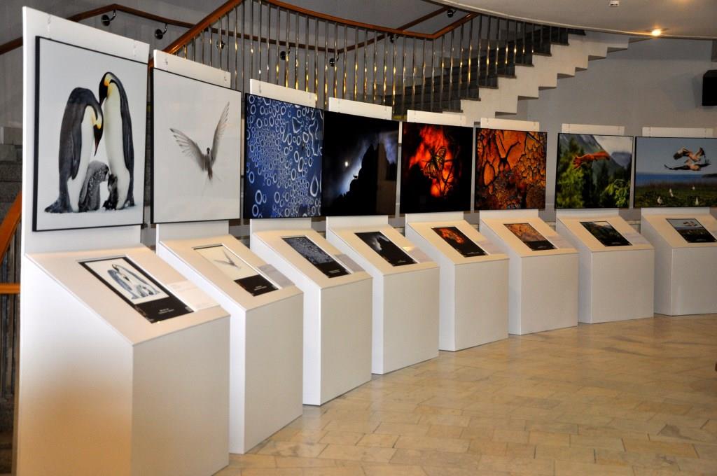 Выставка «Белая книга» открылась в Дарвиновском музее - фото 7