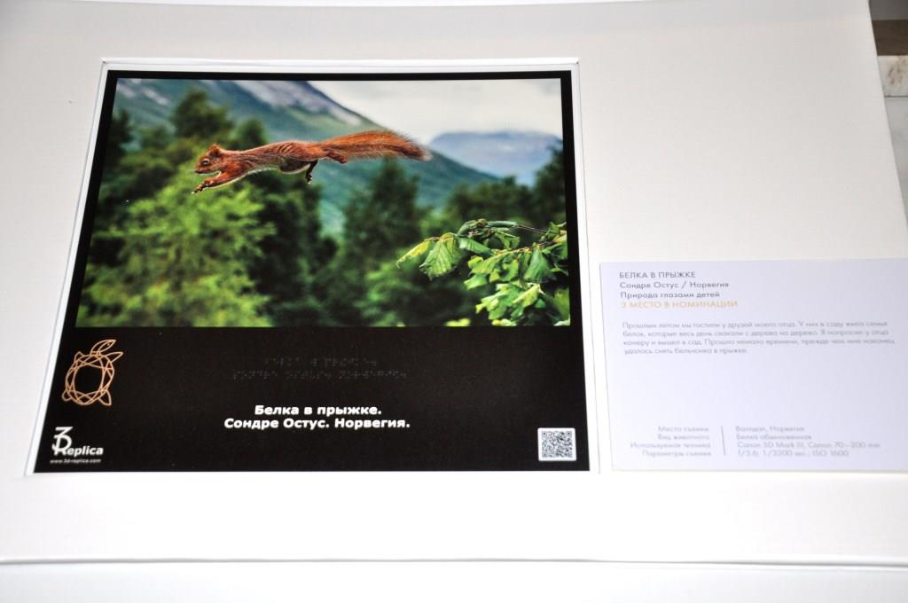 Выставка «Белая книга» открылась в Дарвиновском музее - фото 10