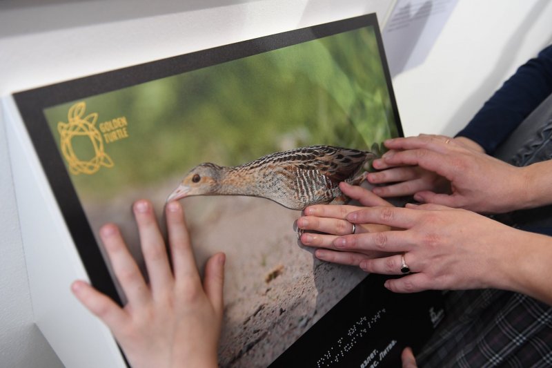 В Дарвиновском музее открылся уникальный проект международного фестиваля дикой природы «Золотая Черепаха» - фотовыставка для слабовидящих «Белая книга» - фото 1
