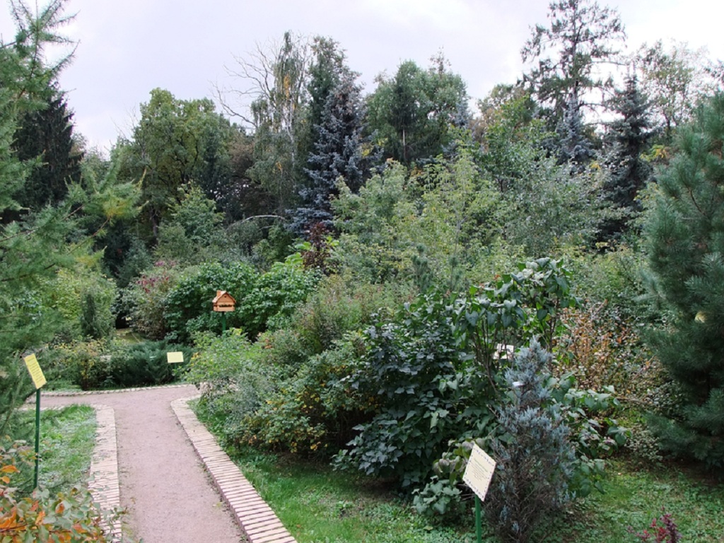 Все в сад: в Кузьминках пройдет День открытых садов  - фото 1