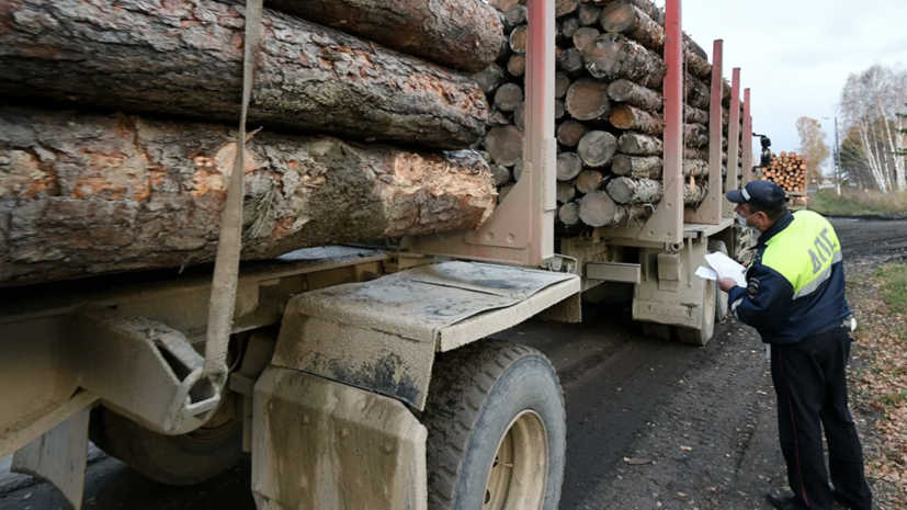 Кабмин в России одобрил пошлины на вывоз отдельных видов древесины - фото 1
