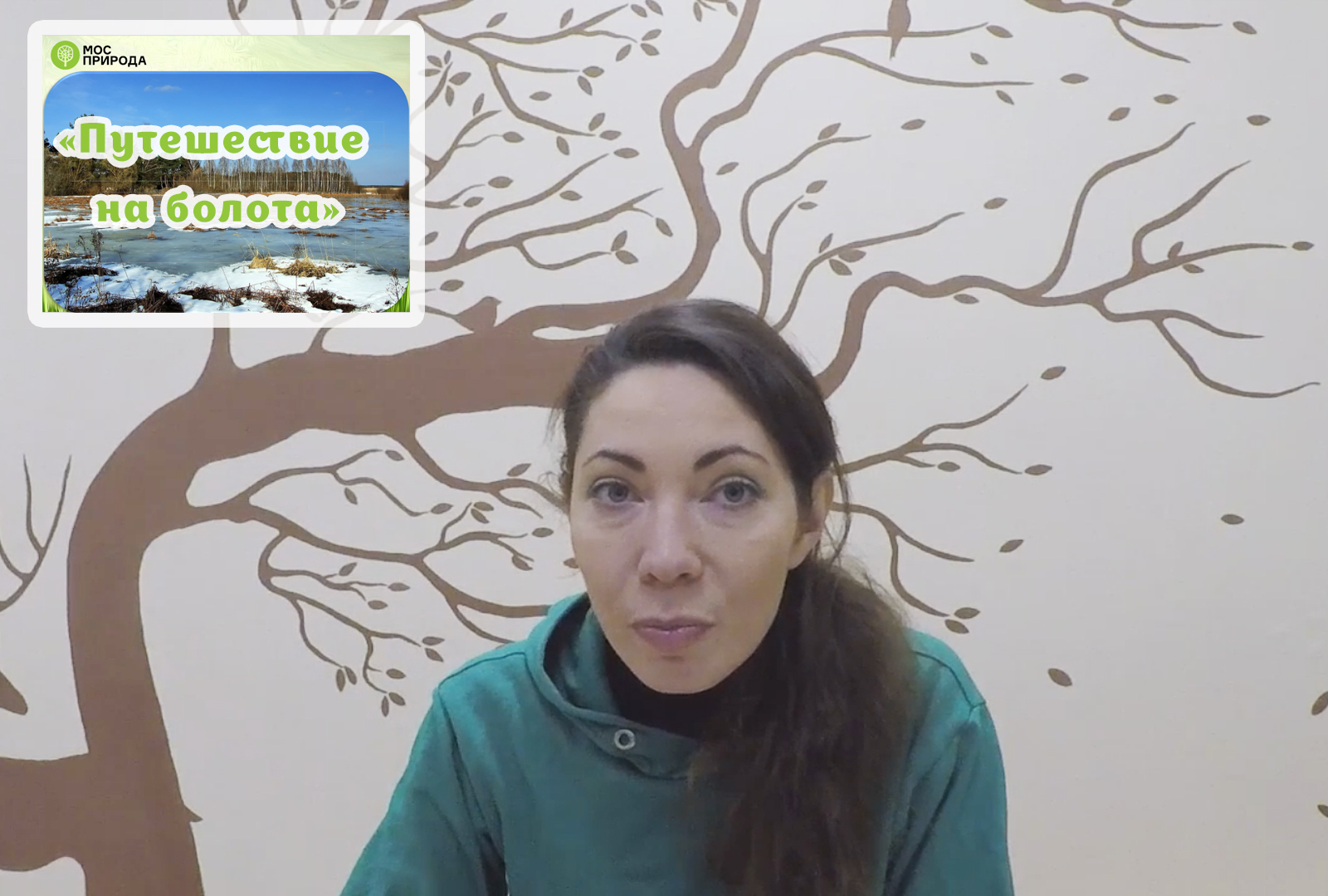 Онлайн-путешествие на болота: Мосприрода подготовила эколого-просветительскую видеолекцию  - фото 1