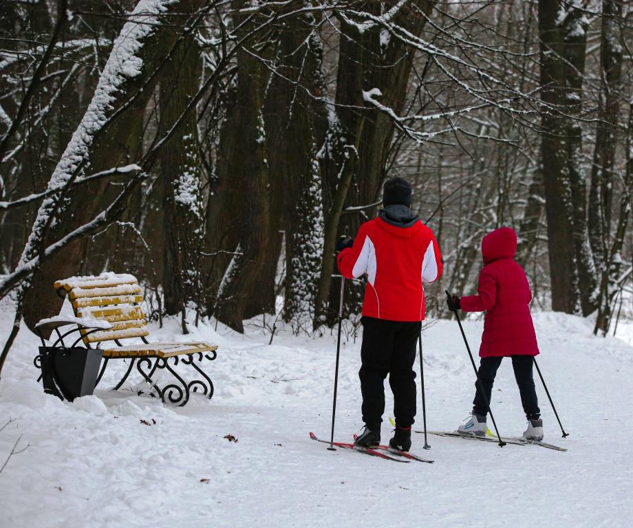 На лыжах по Кузьминскому парку: Мосприрода подготовила зимнюю оздоровительную программу  - фото 1