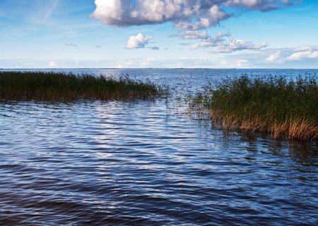 Чудское озеро: взаимный интерес — взаимная забота России и Эстонии - фото 3