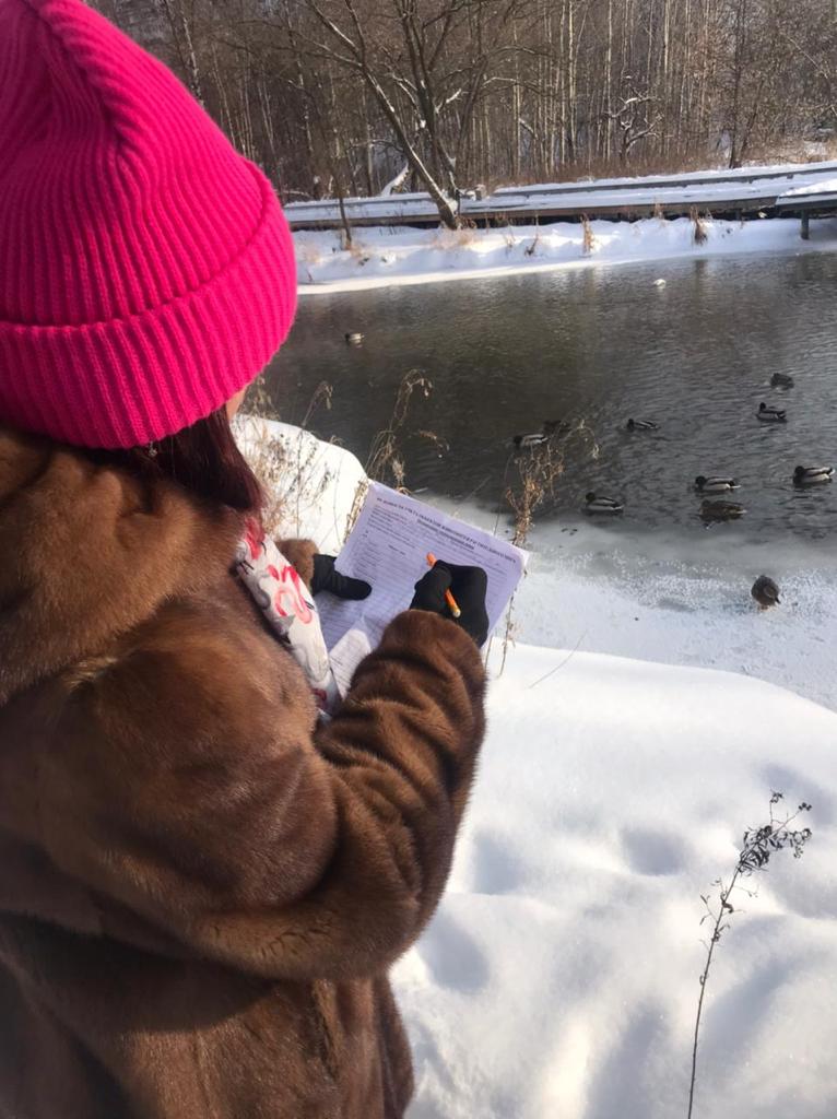 Более 8000 водоплавающих птиц осталось зимовать в природных парках Москвы - фото 5