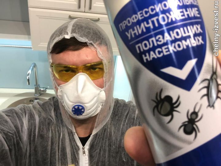 О нашествии тараканов на дома россиян предупредили в Роспотребнадзоре - фото 1