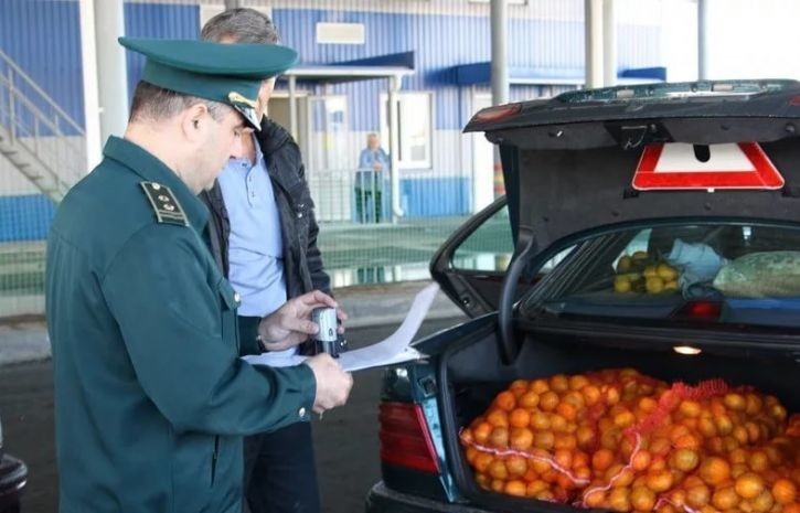 Вступили в силу новые правила ввоза на территорию России фруктов, овощей, цветов и елей - фото 1