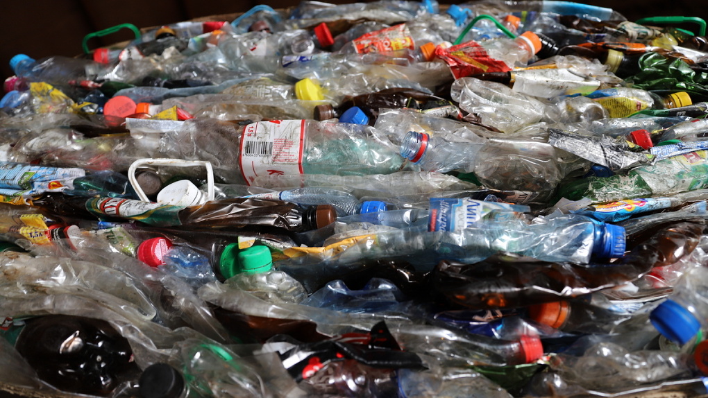 В Тамбове выкинули в специализированные контейнеры больше 8 тонн пластиковых бутылок - фото 2