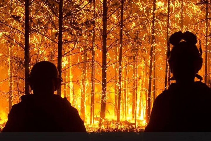 Сибирские пожары и борьба с огненной стихией словом и делом - фото 1