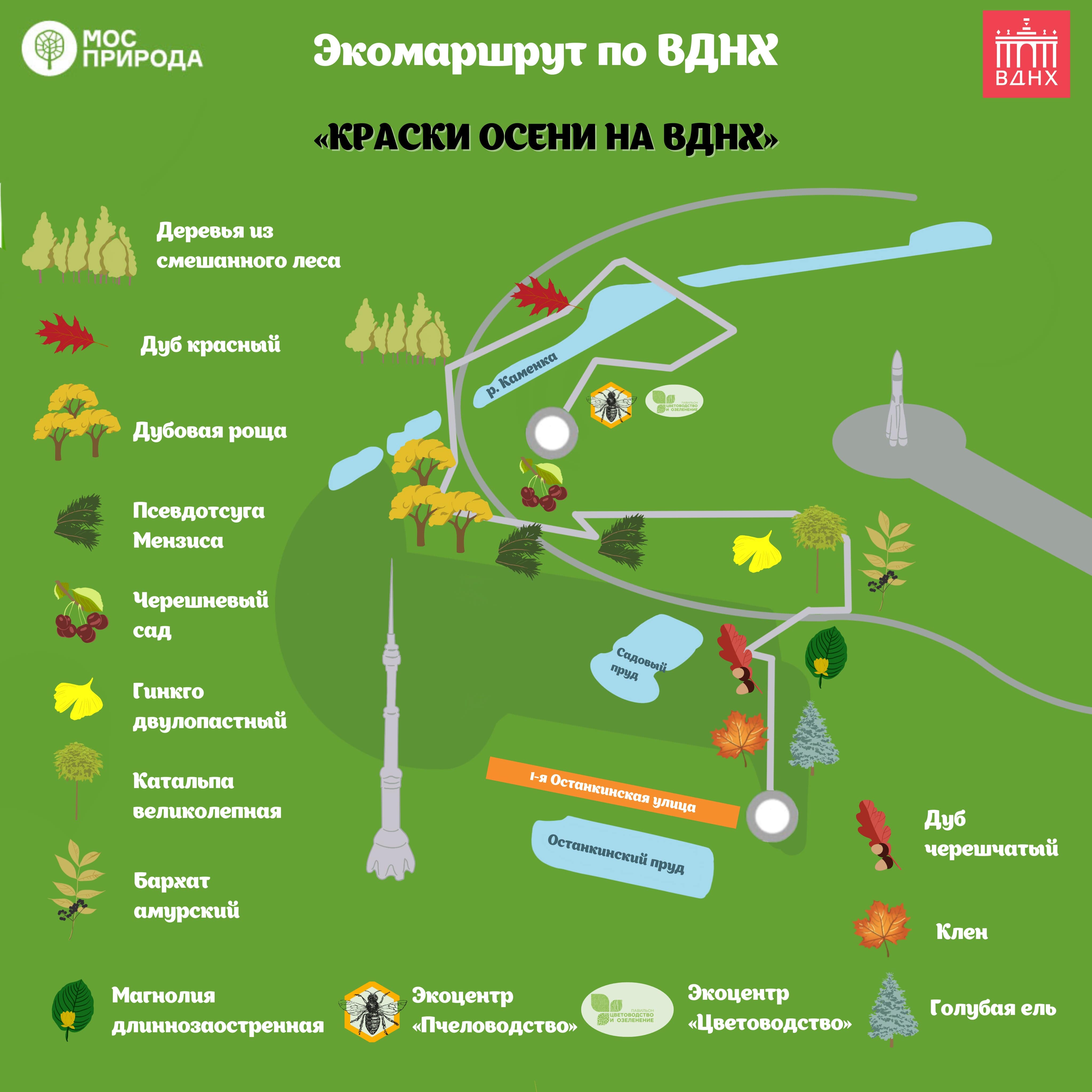 Краски осени на ВДНХ: Мосприрода и ВДНХ совместно разработали новый экологический маршрут - фото 1