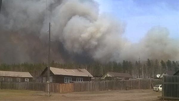 Площадь лесных пожаров в Сибири выросла до 1,3 млн га - фото 1