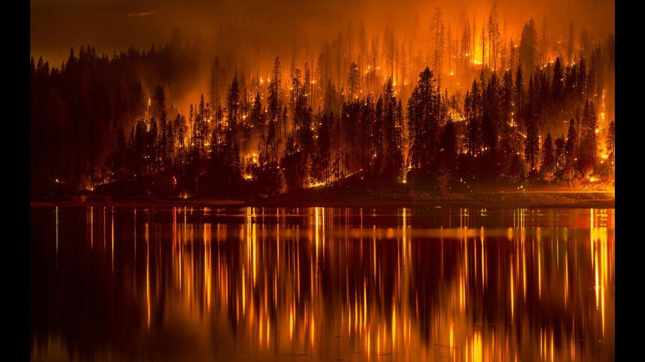 Кто и на каких условиях тушит лесные пожары - фото 8