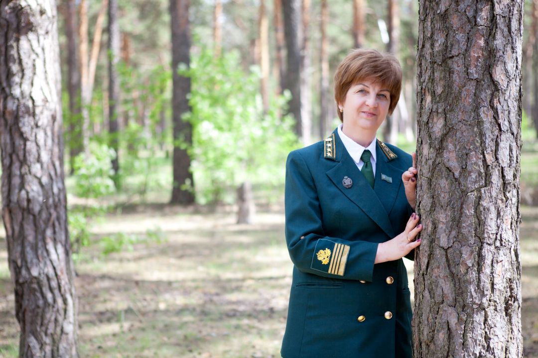 Лучшие представители лесного комплекса Владимирщины – на областной «Галерее славы» - фото 2