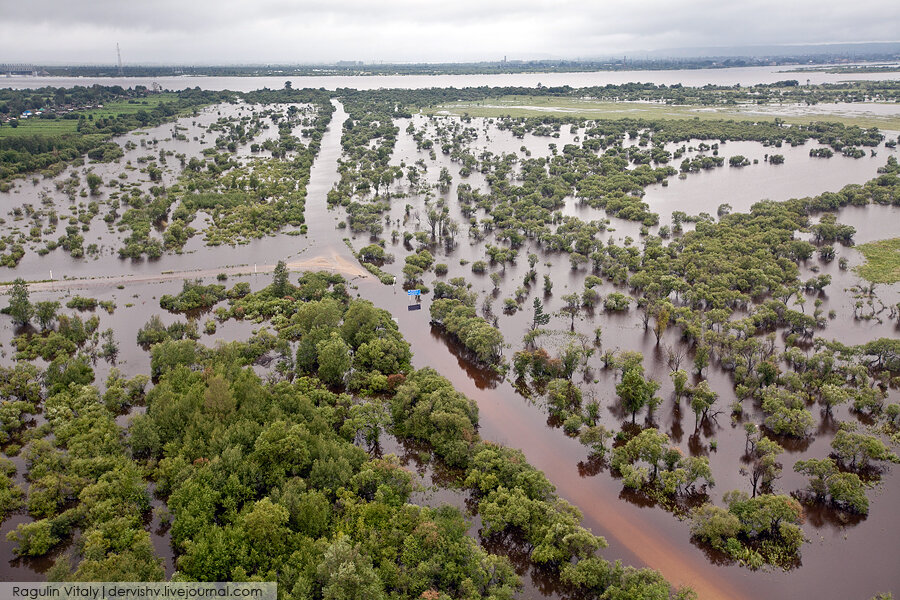 В Амурской области наводнение охватывает все новые территории - фото 1