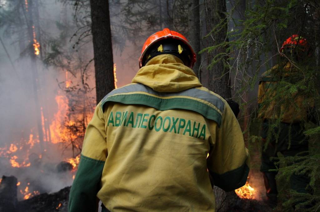 Кто и на каких условиях тушит лесные пожары - фото 11