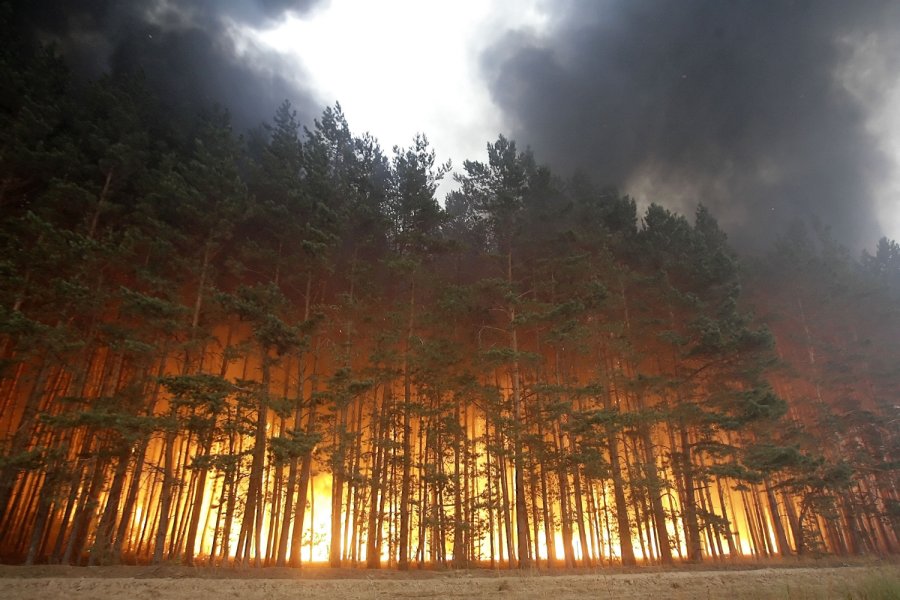 Площадь лесных пожаров в Сибири выросла до 1,3 млн га - фото 3