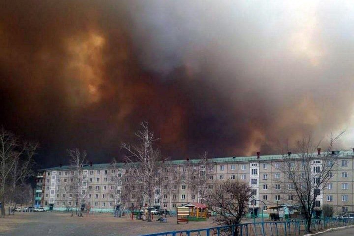 Площадь лесных пожаров в Сибири выросла до 1,3 млн га - фото 4