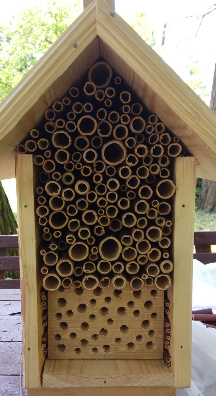 Домики для насекомых: Мосприрода обеспечит жильем самых маленьких обитателей природных территорий  - фото 2